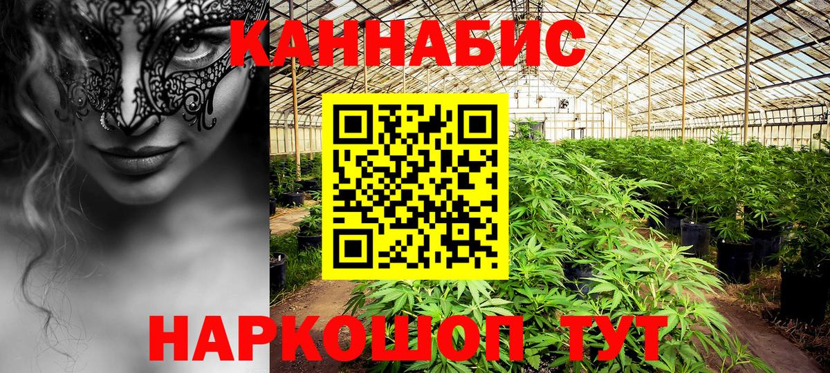 МАРИХУАНА ГИДРОПОН Новошахтинск
